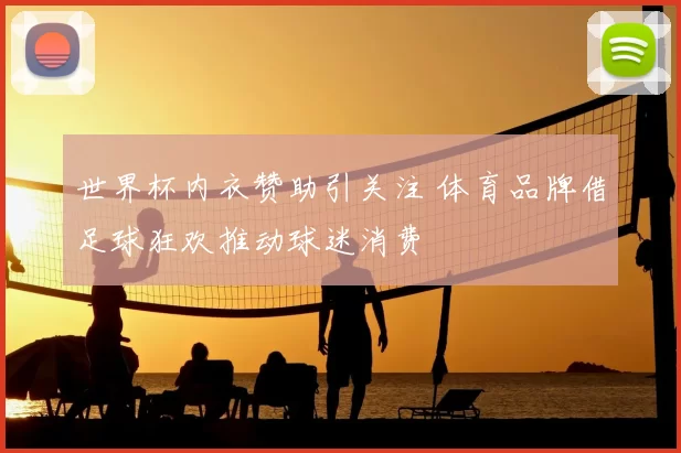 世界杯内衣赞助引关注 体育品牌借足球狂欢推动球迷消费
