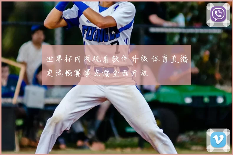 世界杯内网观看软件升级 体育直播更流畅赛事点播全面开放