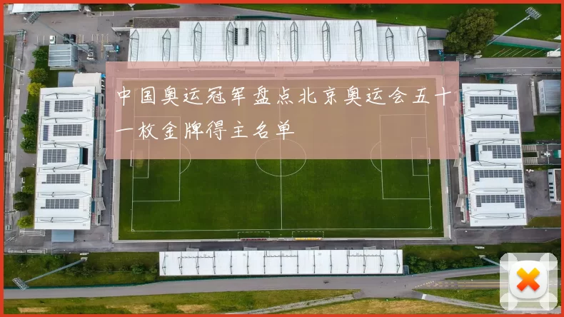 中国奥运冠军盘点北京奥运会五十一枚金牌得主名单