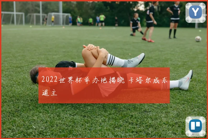 2022世界杯举办地揭晓 卡塔尔成东道主