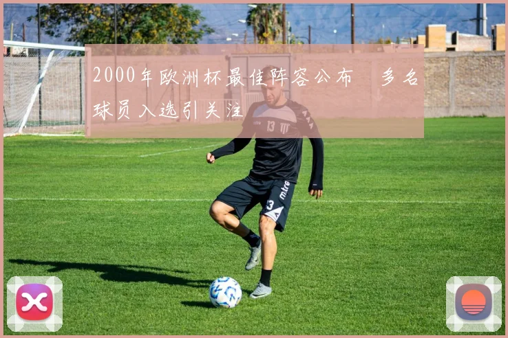 2000年欧洲杯最佳阵容公布 多名球员入选引关注